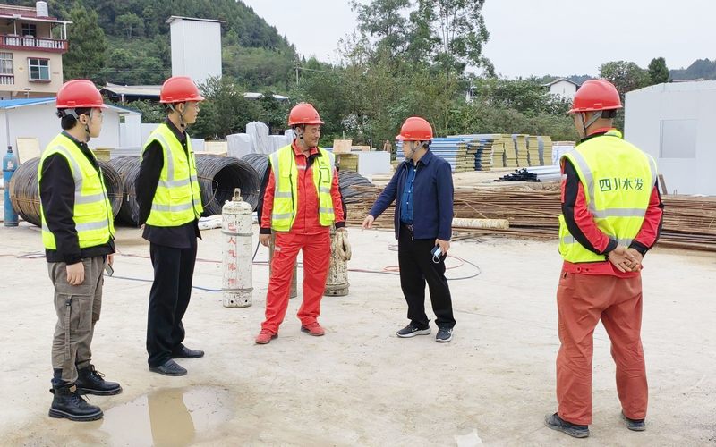 茍仕聰一行到亭子口項目I標(biāo)調(diào)研工作