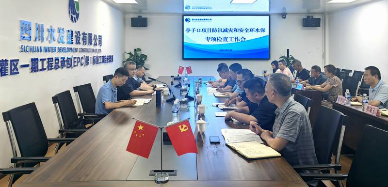 羅雪一行赴亭子口灌區一期工程I標開展防汛減災和安全環水保專項檢查